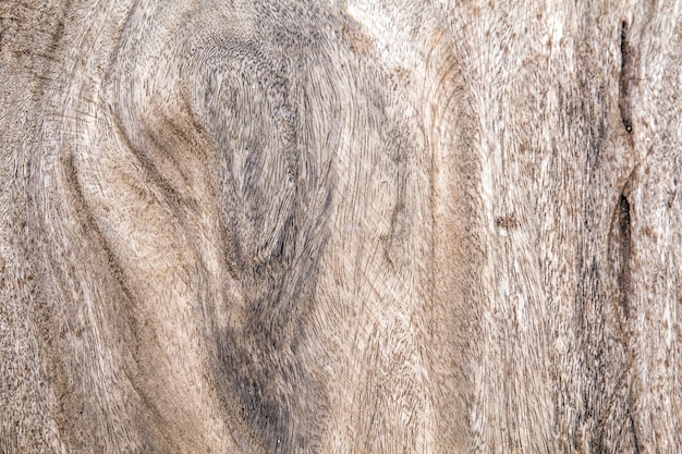 Un primer plano de la superficie del viejo corte de árbol, textura de un árbol viejo, madera