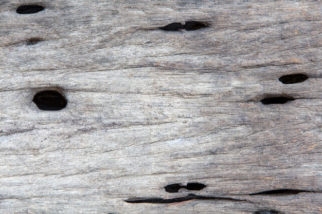 Un primer plano de la superficie del viejo corte de árbol.