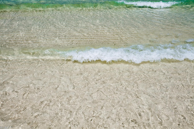 Primer plano de surf en una playa de arena con aguas cristalinas de color turquesa