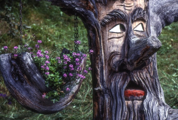 Foto primer plano de las tallas en el tronco de un árbol en un parque