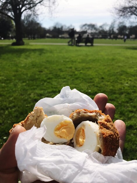 Foto primer plano de una tarta de chocolate en un plato en el campo