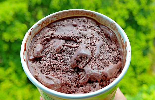 Primer plano de una taza de delicioso helado de chocolate negro contra el jardín verde borroso