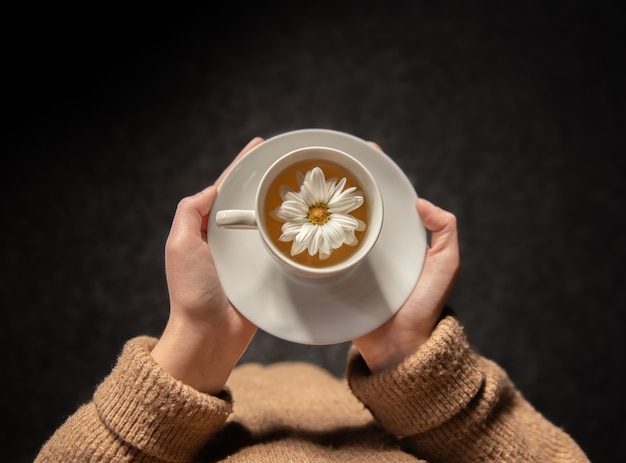 Primer plano de té de manzanilla a base de hierbas con flor de manzanilla en manos femeninas sobre un fondo negro, vista superior.