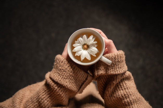 Primer plano de té de manzanilla con flor de manzanilla en manos femeninas