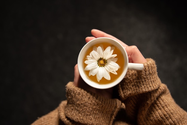 Primer plano de té de manzanilla con flor de manzanilla en manos femeninas