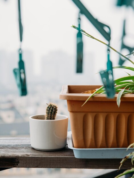 Foto primer plano del té en la mesa