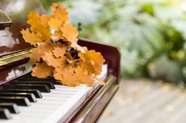 Primer plano de teclas de piano con hojas de roble sobre ellas Concepto de música Otoño