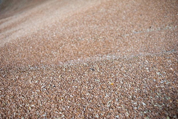 Un primer plano de un terreno con rocas y grava