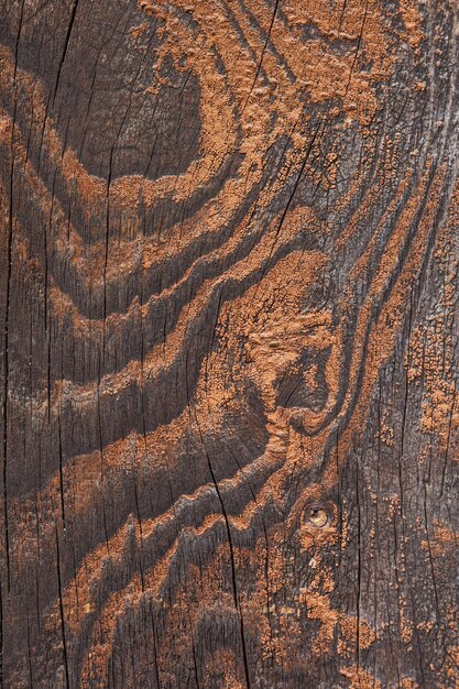 Primer plano de textura de madera con material de tablero de fibras naturales para la construcción