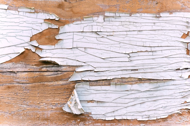 Primer plano, textura de pelar la pintura blanca de la madera.