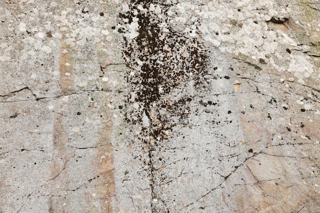 Primer plano de la textura de piedra rugosa de una gran superficie de roca para conceptos de fondo natural Primer plano de textura de fondo de piedra natural sucia