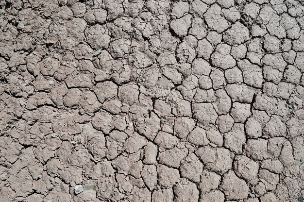 Primer plano de la textura del suelo seco