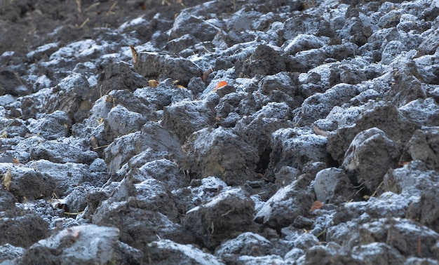 Primer plano de la tierra arada con una fina capa de escarcha