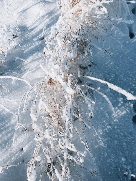 Foto primer plano de la tierra cubierta de nieve