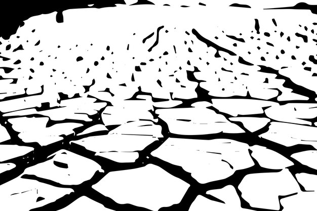 Un primer plano de la tierra seca agrietada en una zona afectada por la sequía