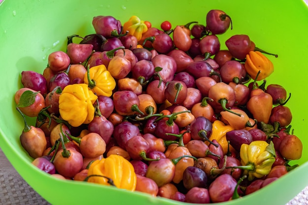 Foto primer plano de tomates en un cuenco sobre la mesa