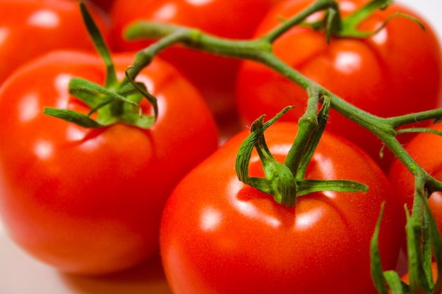 Primer plano de tomates frescos