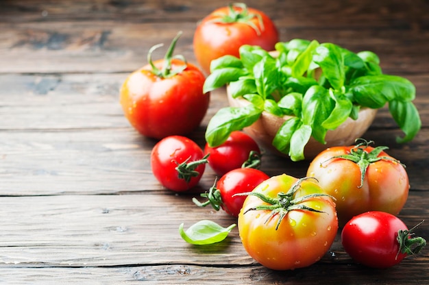 Foto primer plano de los tomates en la mesa