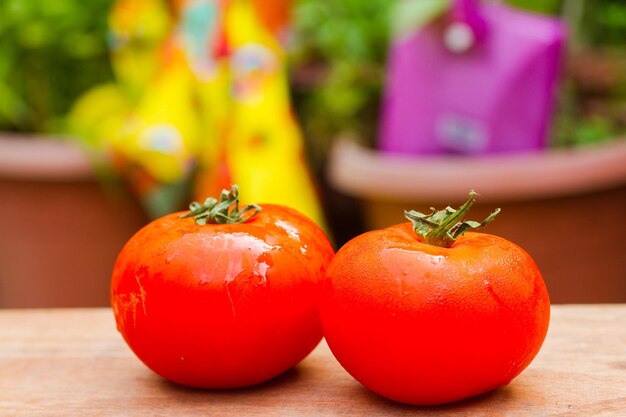 Foto primer plano de los tomates en la mesa