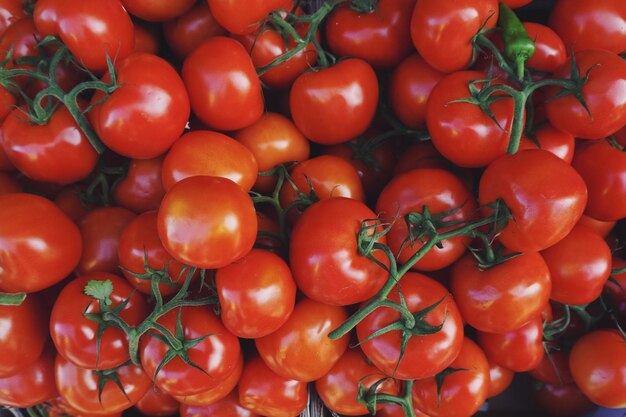 Primer plano de los tomates