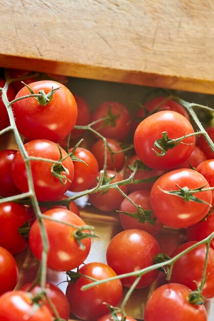 Foto primer plano de los tomates