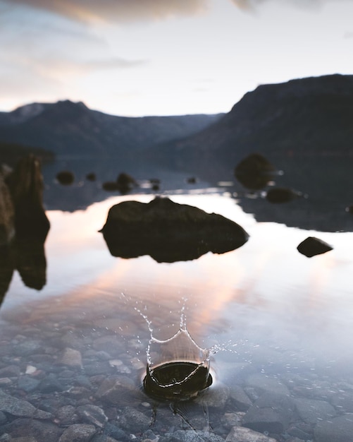 Foto primer plano de una tortuga en el agua