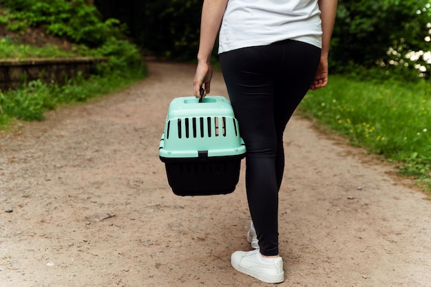 primer plano de un transportista con un gato en manos femeninas fuera del transporte de un gato con un transportista especial