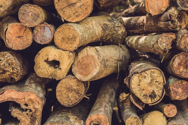 Primer plano de troncos de árboles en la naturaleza, pila de troncos de madera listos para el invierno en el bosque, leña como fuente de energía renovable a la espera de ser transportada.