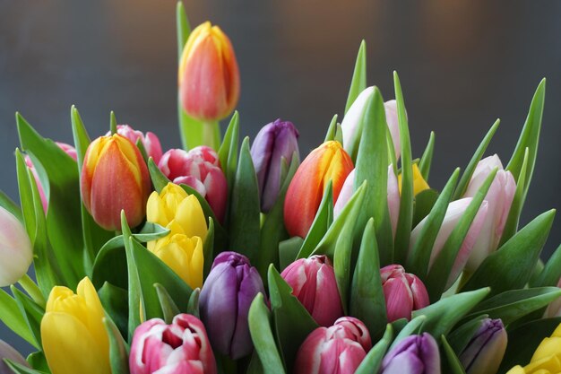 Foto primer plano de tulipanes en flor al aire libre