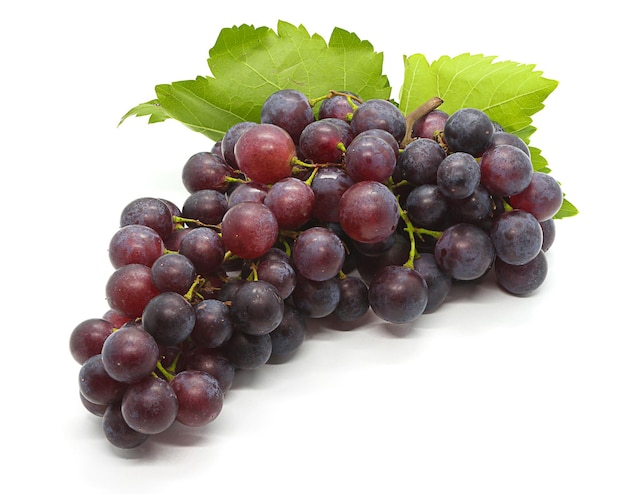 Primer plano de las uvas contra un fondo blanco
