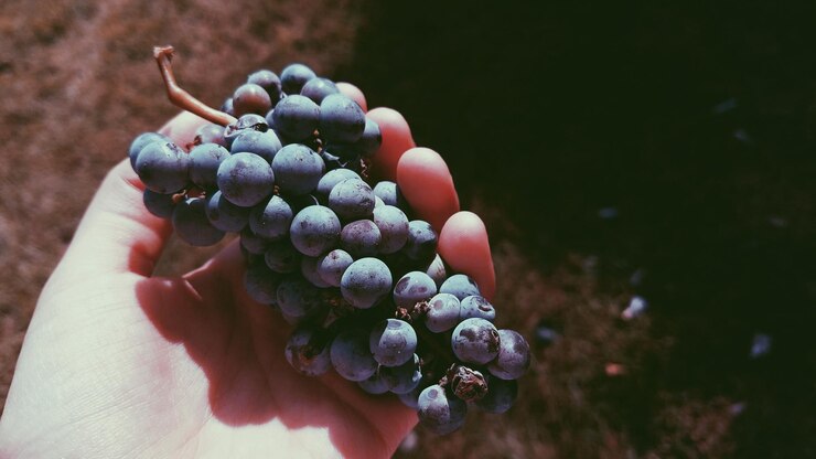 Foto primer plano de las uvas en la mano