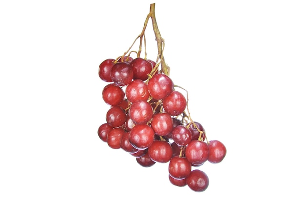 Primer plano de uvas rojas contra un fondo blanco
