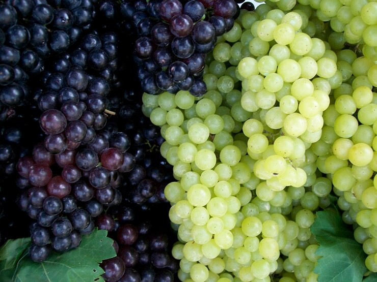 Foto primer plano de uvas para la venta en el mercado