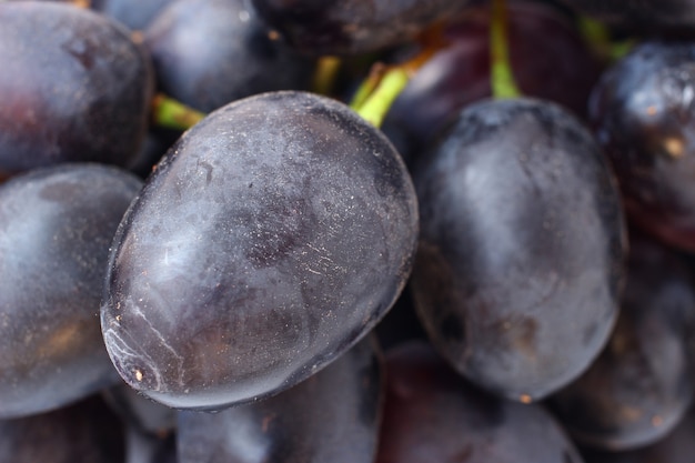 Primer plano de uvas violeta oscuro