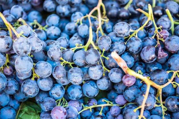 Foto primer plano de las uvas