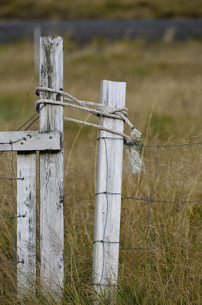 Foto primer plano de la valla de alambre de púas en el campo