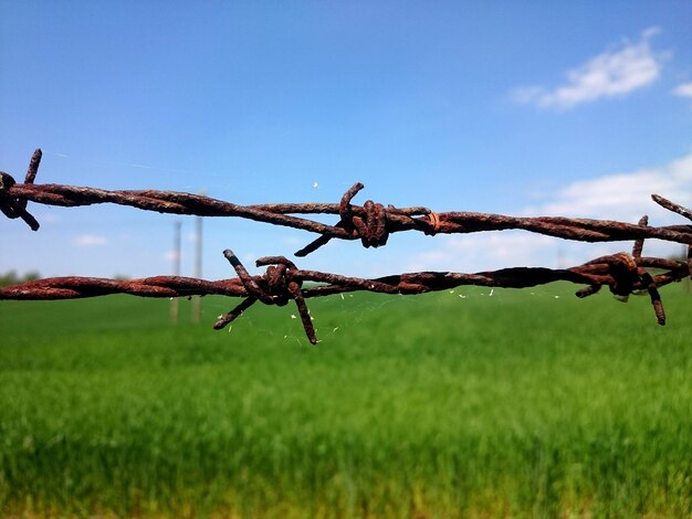 Foto primer plano de la valla de alambre de púas en el campo