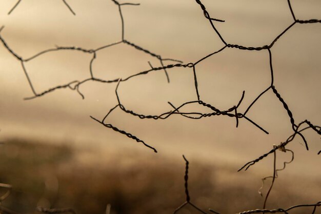 Foto primer plano de la valla de alambre de púas contra el cielo