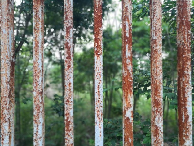 Foto primer plano de una valla oxidada