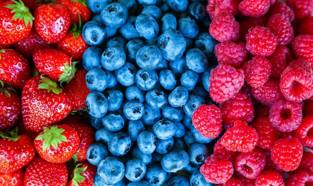 Primer plano de varias bayas de verano frescas maduras de fondo Fresa Frambuesa y Arándano