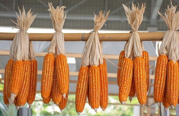 Primer plano de varias frutas para la venta en el mercado