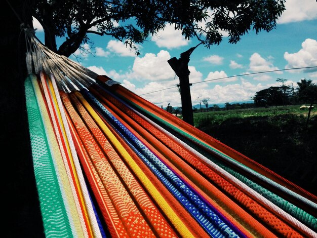 Foto primer plano de varios colores colgando en un árbol contra el cielo