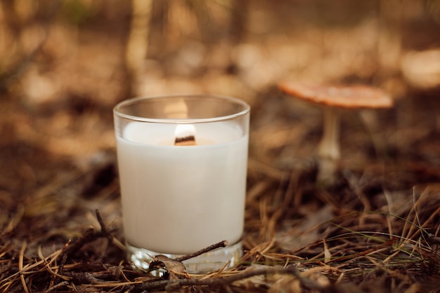 Primer plano de una vela encendida en un bosque de pinos Vela aromática blanca con fondo de champiñones piñas y agujas