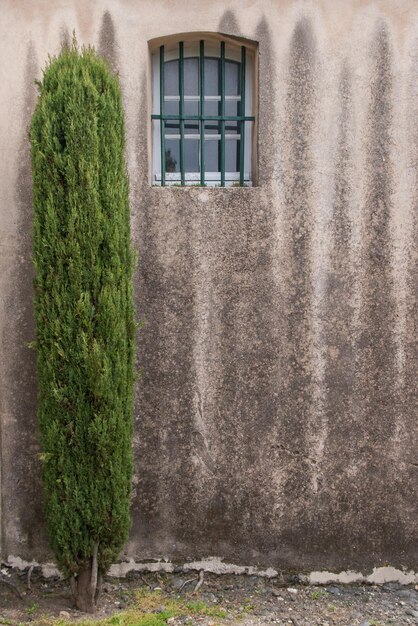 Foto primer plano de la ventana de la casa