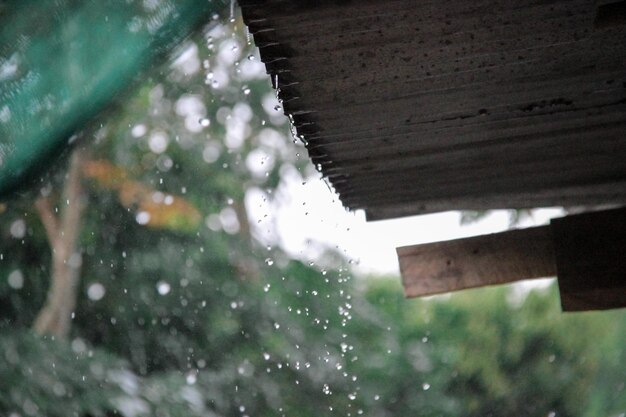 Foto primer plano de una ventana húmeda durante la temporada de lluvias