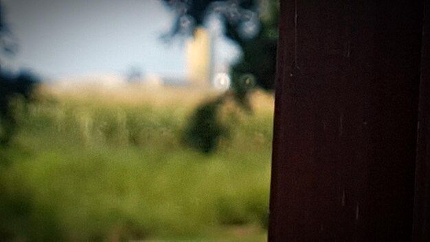 Foto primer plano de una ventana de vidrio