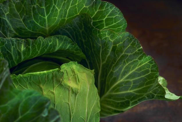 Un primer plano de una verdura de hoja verde