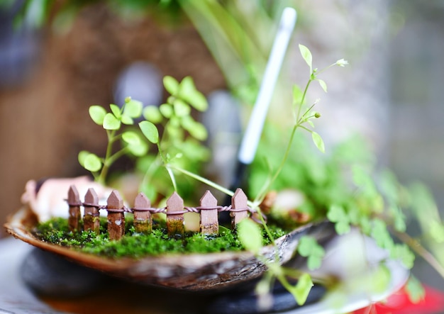 Foto primer plano de las verduras en el plato