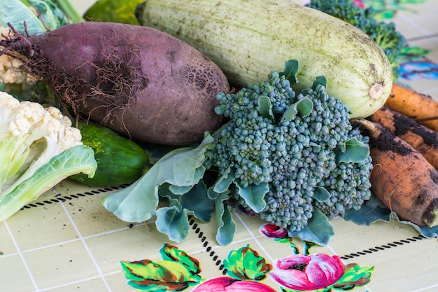 Primer plano de verduras recién cosechadas nabos, remolachas, zanahorias, médula redonda, tomates, pepino, calabacín, frijoles, brócoli, remolacha. Cosecha aytumn Bodegón de verdura.