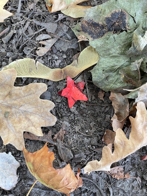 Primer plano vertical de basura estrella de plástico rojo en el suelo en el bosque